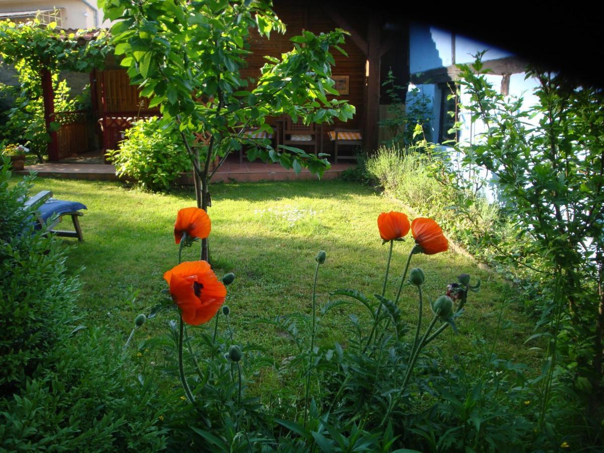 Apartement De Vacances Alsace - Ferienwohnung Elsass - Holiday Apartment Alsace Bischwiller Esterno foto