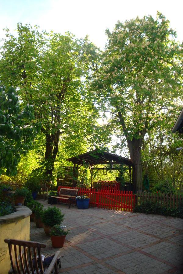 Apartement De Vacances Alsace - Ferienwohnung Elsass - Holiday Apartment Alsace Bischwiller Esterno foto