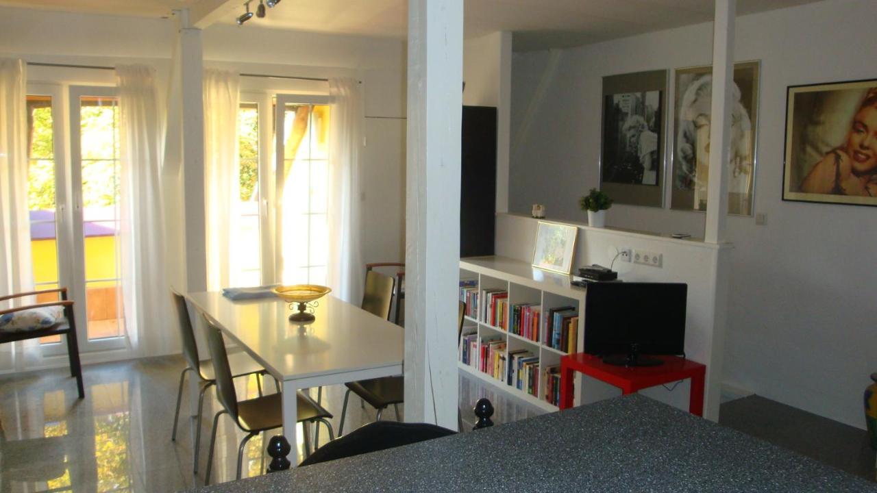 Apartement De Vacances Alsace - Ferienwohnung Elsass - Holiday Apartment Alsace Bischwiller Esterno foto